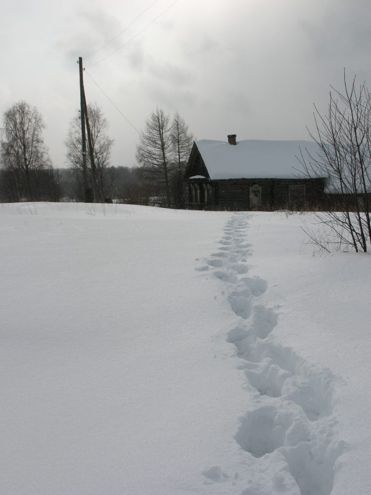 декабрь на пасеке в 2015 году