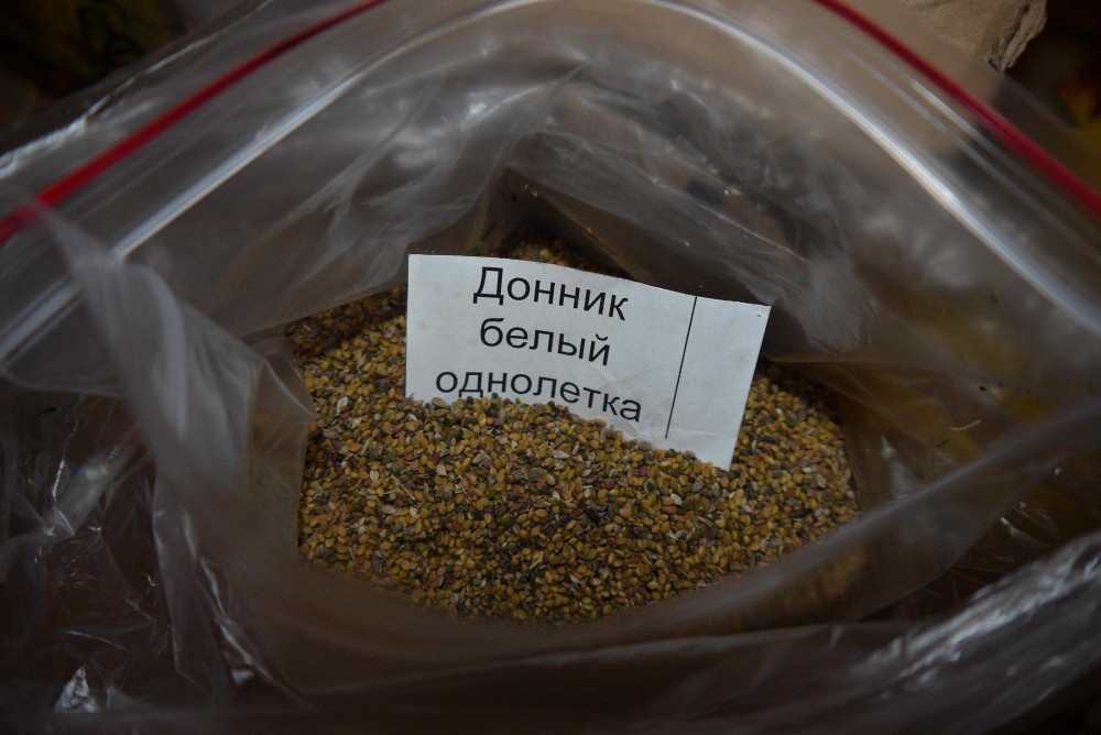 Где Можно Купить Семена В Новосибирске