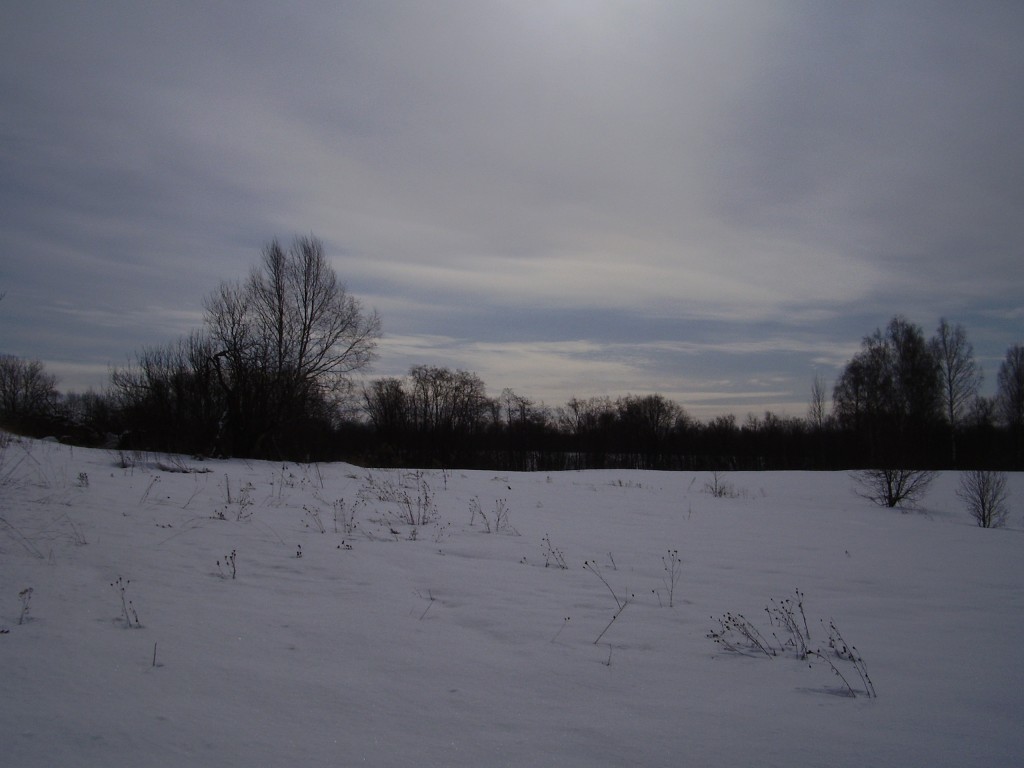 зима на пасеке 2015 год