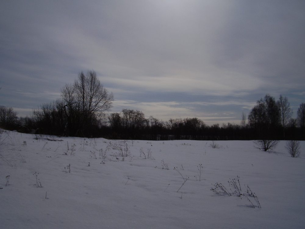 зима на пасеке 2015 год