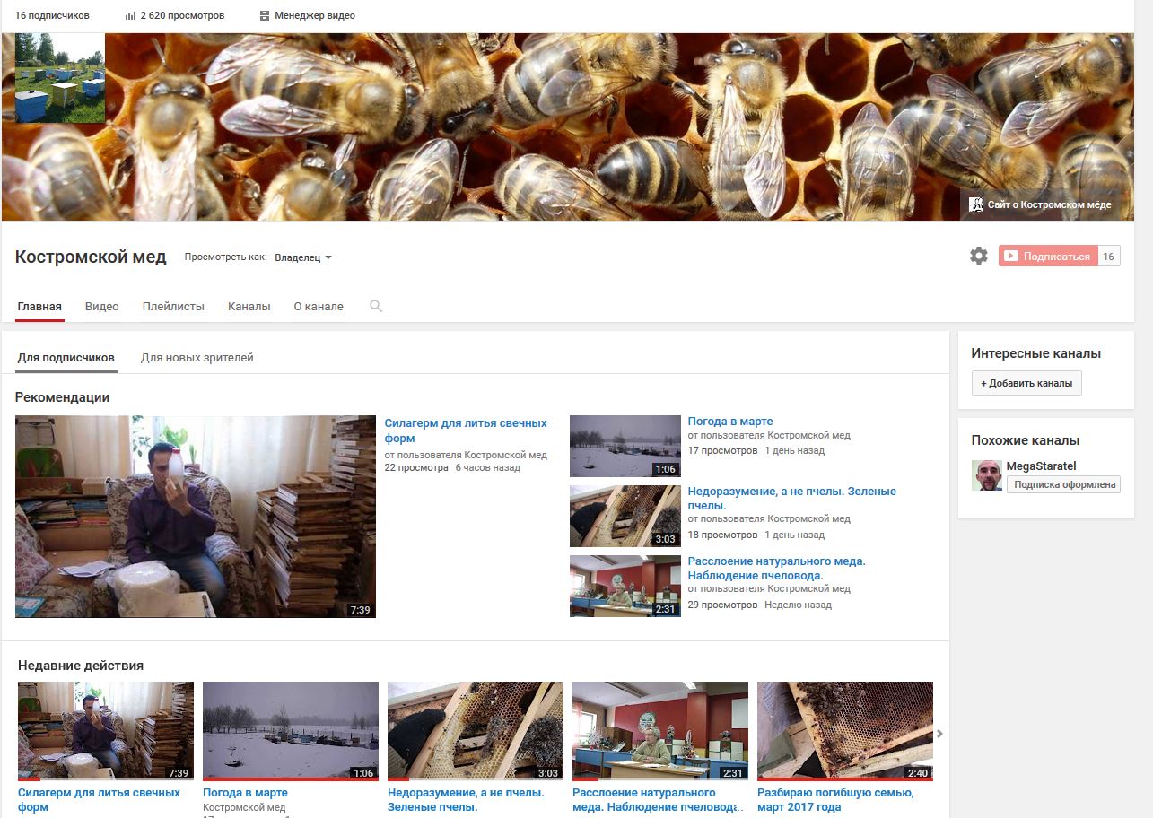 видеоблог пчеловода